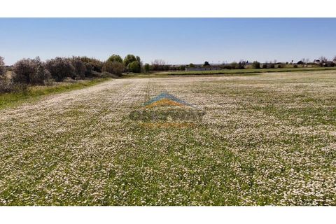 Helårsgrund i Evora, Evora, Evora - € 2.000.000 | Ref: 452 - foto 12