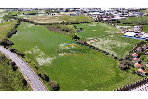 Helårsgrund i Evora, Evora, Evora - € 2.000.000 | Ref: 452 - foto 14