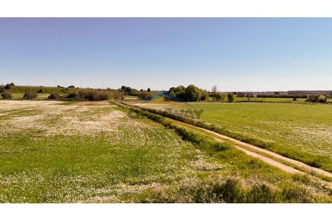 Helårsgrund i Evora, Evora, Evora - € 2.000.000 | Ref: 452 - foto 17