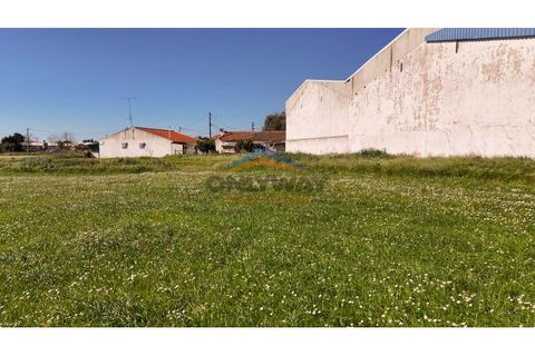 Helårsgrund i Evora, Evora, Evora - € 2.000.000 | Ref: 452 - foto 19