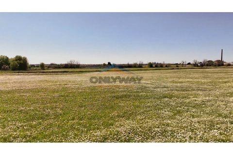 Helårsgrund i Evora, Evora, Evora - € 2.000.000 | Ref: 452 - foto 21