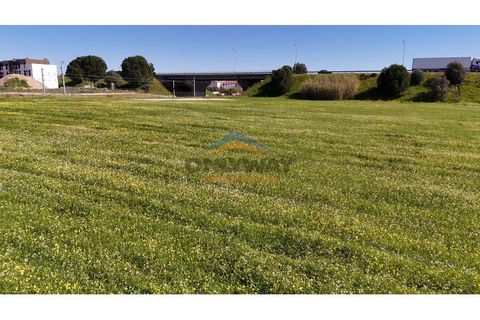Helårsgrund i Evora, Evora, Evora - € 2.000.000 | Ref: 452 - foto 22