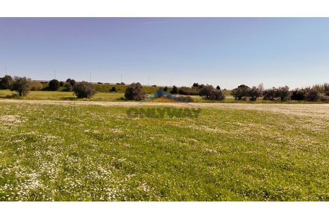 Helårsgrund i Evora, Evora, Evora - € 2.000.000 | Ref: 452 - foto 23