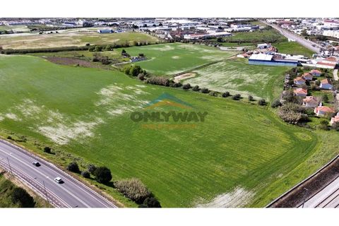 Helårsgrund i Evora, Evora, Evora - € 2.000.000 | Ref: 452 - foto 24