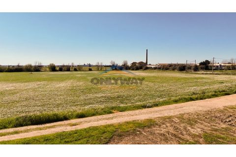 Helårsgrund i Evora, Evora, Evora - € 2.000.000 | Ref: 452 - foto 25