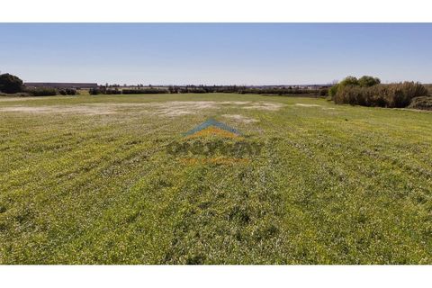 Helårsgrund i Evora, Evora, Evora - € 2.000.000 | Ref: 452 - foto 27