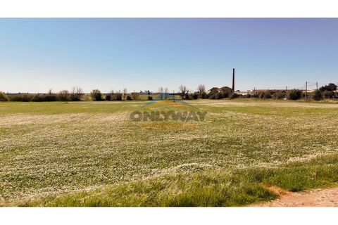 Helårsgrund i Evora, Evora, Evora - € 2.000.000 | Ref: 452 - foto 28