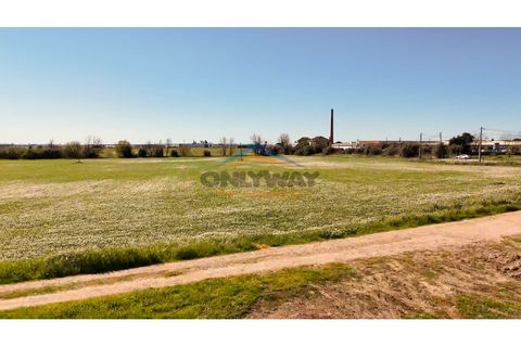 Helårsgrund i Evora, Evora, Evora - € 2.000.000 | Ref: 452 - foto 29