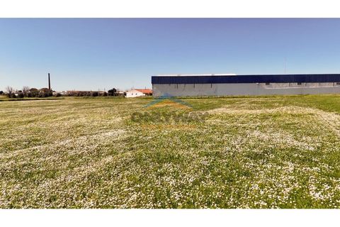 Helårsgrund i Evora, Evora, Evora - € 2.000.000 | Ref: 452 - foto 31