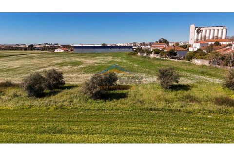 Helårsgrund i Evora, Evora, Evora - € 2.000.000 | Ref: 452 - foto 34