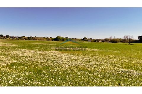 Helårsgrund i Evora, Evora, Evora - € 2.000.000 | Ref: 452 - foto 35