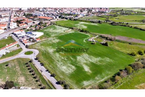 Helårsgrund i Evora, Evora, Evora - € 2.000.000 | Ref: 452 - foto 38