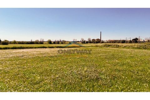 Helårsgrund i Evora, Evora, Evora - € 2.000.000 | Ref: 452 - foto 39