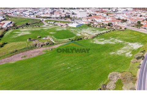 Helårsgrund i Evora, Evora, Evora - € 2.000.000 | Ref: 452 - foto 41