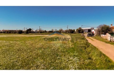Helårsgrund i Evora, Evora, Evora - € 2.000.000 | Ref: 452 - foto 42