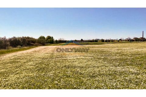 Helårsgrund i Evora, Evora, Evora - € 2.000.000 | Ref: 452 - foto 43