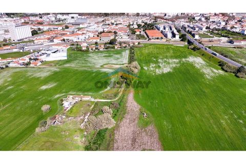 Helårsgrund i Evora, Evora, Evora - € 2.000.000 | Ref: 452 - foto 44