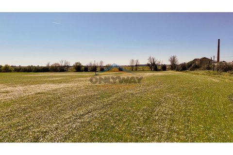 Helårsgrund i Evora, Evora, Evora - € 2.000.000 | Ref: 452 - foto 45