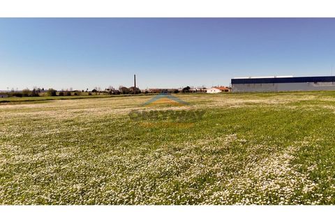 Helårsgrund i Evora, Evora, Evora - € 2.000.000 | Ref: 452 - foto 46