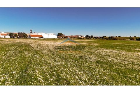 Helårsgrund i Evora, Evora, Evora - € 2.000.000 | Ref: 452 - foto 47