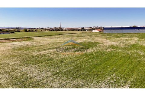 Helårsgrund i Evora, Evora, Evora - € 2.000.000 | Ref: 452 - foto 48