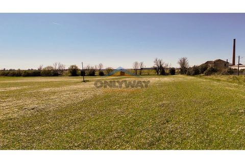 Helårsgrund i Evora, Evora, Evora - € 2.000.000 | Ref: 452 - foto 49