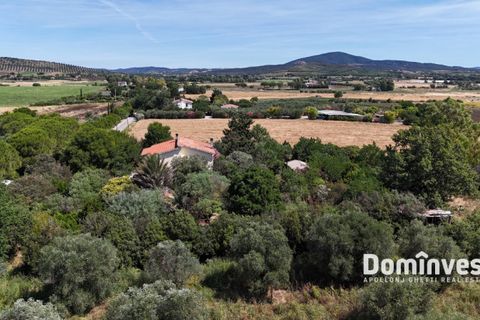 Landejendom i Capalbio, Grosseto, Capalbio - € 1.000.000 | Ref: v-290 - foto 4
