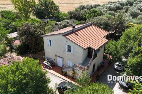 Landejendom i Capalbio, Grosseto, Capalbio - € 1.000.000 | Ref: v-290 - foto 5