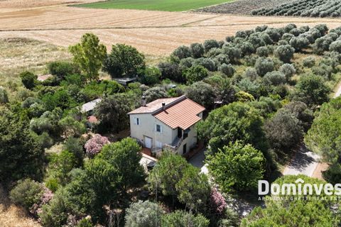 Landejendom i Capalbio, Grosseto, Capalbio - € 1.000.000 | Ref: v-290 - foto 6