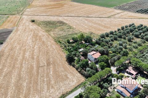 Landejendom i Capalbio, Grosseto, Capalbio - € 1.000.000 | Ref: v-290 - foto 8
