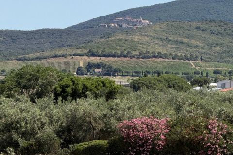 Landejendom i Capalbio, Grosseto, Capalbio - € 1.000.000 | Ref: v-290 - foto 12
