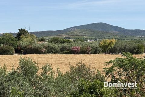 Landejendom i Capalbio, Grosseto, Capalbio - € 1.000.000 | Ref: v-290 - foto 14
