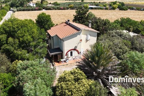 Masia a Capalbio, Grosseto, Capalbio - € 1.000.000 | Ref: v-290 - foto 4
