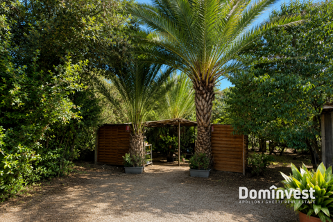 Masia a Capalbio, Grosseto, Capalbio - € 1.000.000 | Ref: v-290 - foto 18
