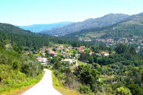Helårsgrund i Ponte de Lima, Viana do Castelo, Ponte de Lima - € 550.000 | Ref: 9976_T - foto 1