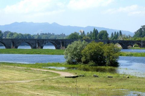 Helårsgrund i Ponte de Lima, Viana do Castelo, Ponte de Lima - € 550.000 | Ref: 9976_T - foto 5