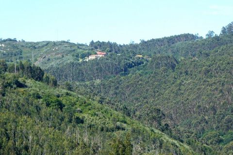 Helårsgrund i Ponte de Lima, Viana do Castelo, Ponte de Lima - € 550.000 | Ref: 9976_T - foto 8
