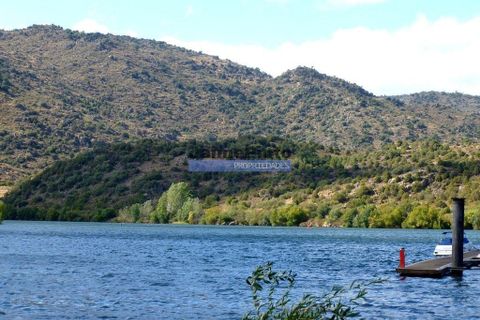 Villa i Torre de Moncorvo, Braganca, Torre de Moncorvo - € 650 000 | Ref: 9988_M - foto 4