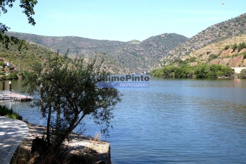 Villa i Torre de Moncorvo, Braganca, Torre de Moncorvo - € 650 000 | Ref: 9988_M - foto 8