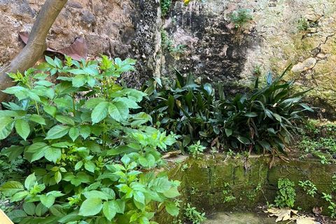 Erhvervsejendom i Caiazzo, Caserta, Caiazzo - € 225.000 | Ref: CBI091-931-43824 - foto 6