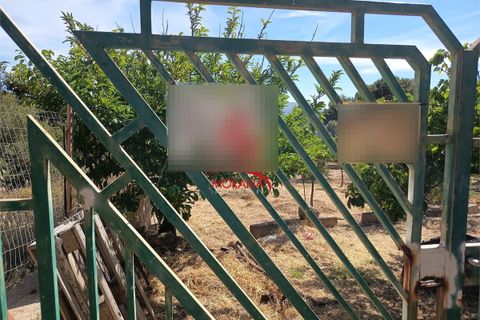 Tomt i Custonaci, Trapani, Custonaci - € 35 000 | Ref: V-471 - foto 2