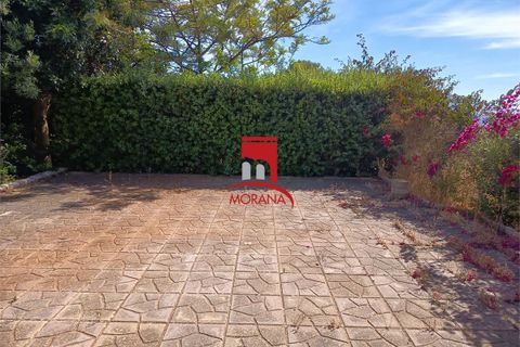 Tomt i Custonaci, Trapani, Custonaci - € 35 000 | Ref: V-471 - foto 3