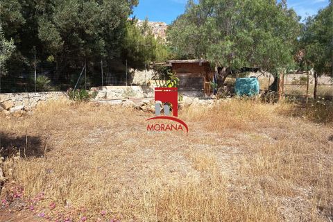 Tomt i Custonaci, Trapani, Custonaci - € 35 000 | Ref: V-471 - foto 4