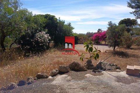 Tomt i Custonaci, Trapani, Custonaci - € 35 000 | Ref: V-471 - foto 5