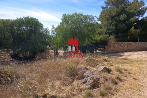 Tomt i Custonaci, Trapani, Custonaci - € 35 000 | Ref: V-471 - foto 10