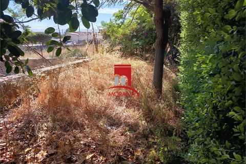 Tomt i Custonaci, Trapani, Custonaci - € 35 000 | Ref: V-471 - foto 11