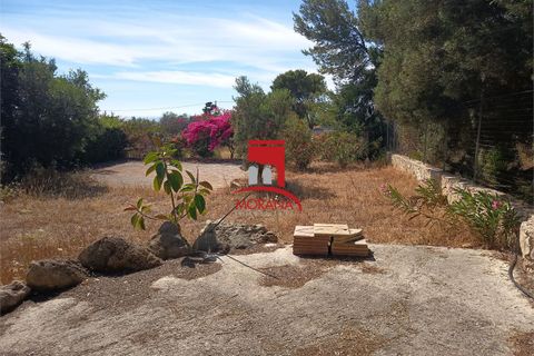 Tomt i Custonaci, Trapani, Custonaci - € 35 000 | Ref: V-471 - foto 12