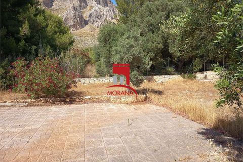 Tomt i Custonaci, Trapani, Custonaci - € 35 000 | Ref: V-471 - foto 13