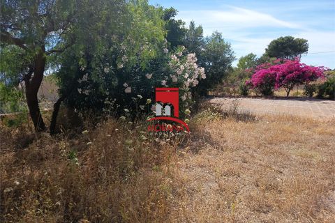 Tomt i Custonaci, Trapani, Custonaci - € 35 000 | Ref: V-471 - foto 15