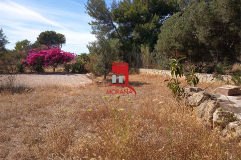 Tomt i Custonaci, Trapani, Custonaci - € 35 000 | Ref: V-471 - foto 17